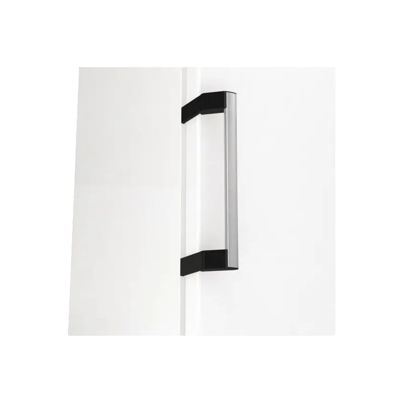 Congelator Gorenje FN619EAW6