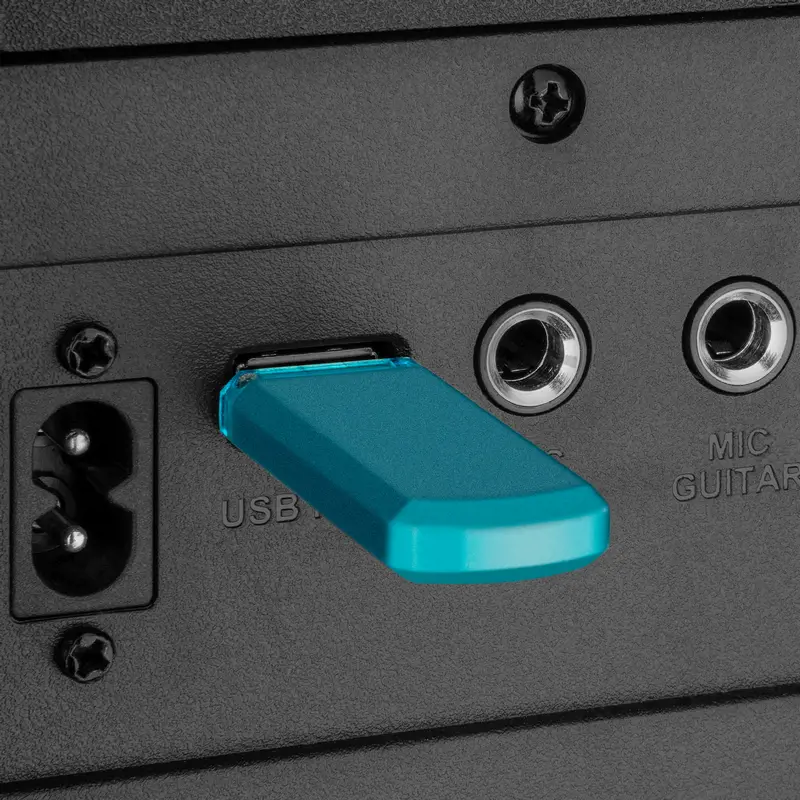 Sistem audio SVEN PS-1000, Negru
