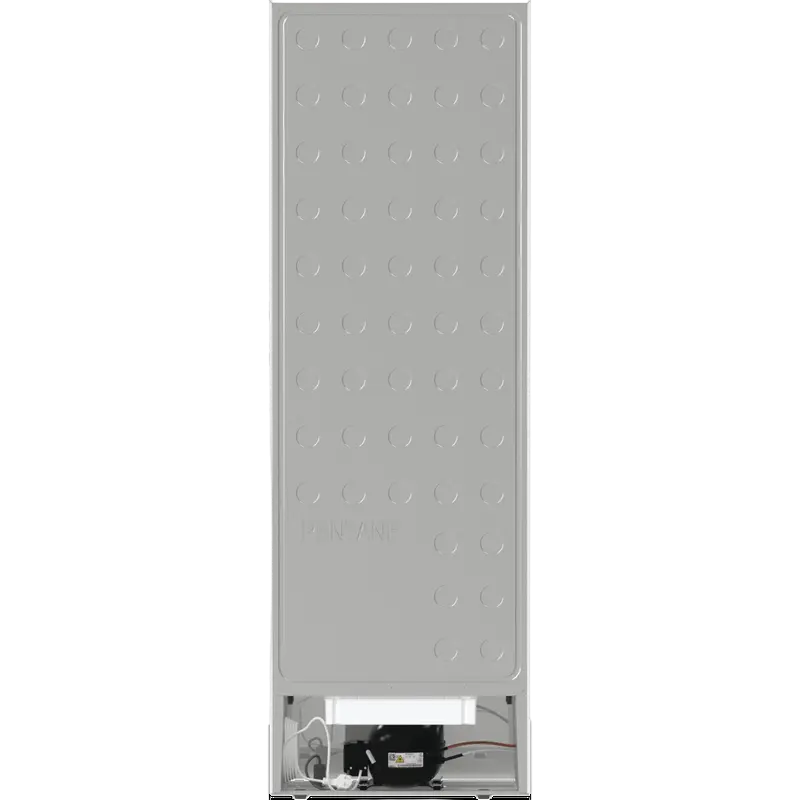 Congelator Gorenje FN619EEW5, Alb