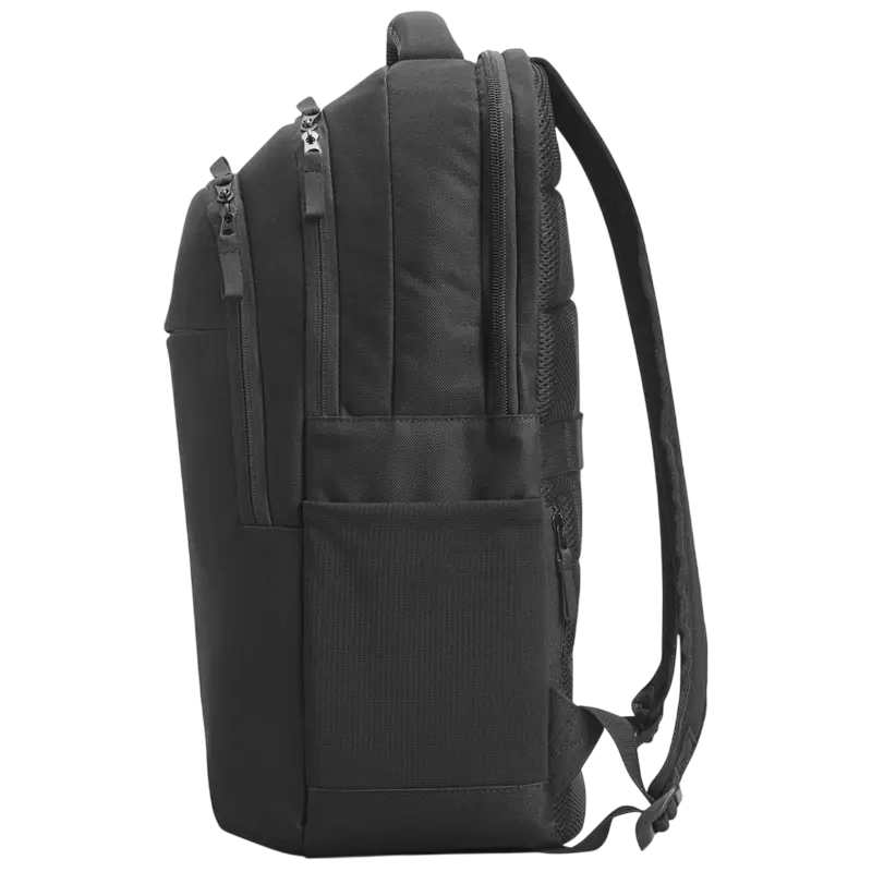 Rucsac pentru Laptop HP Professional, 17.3