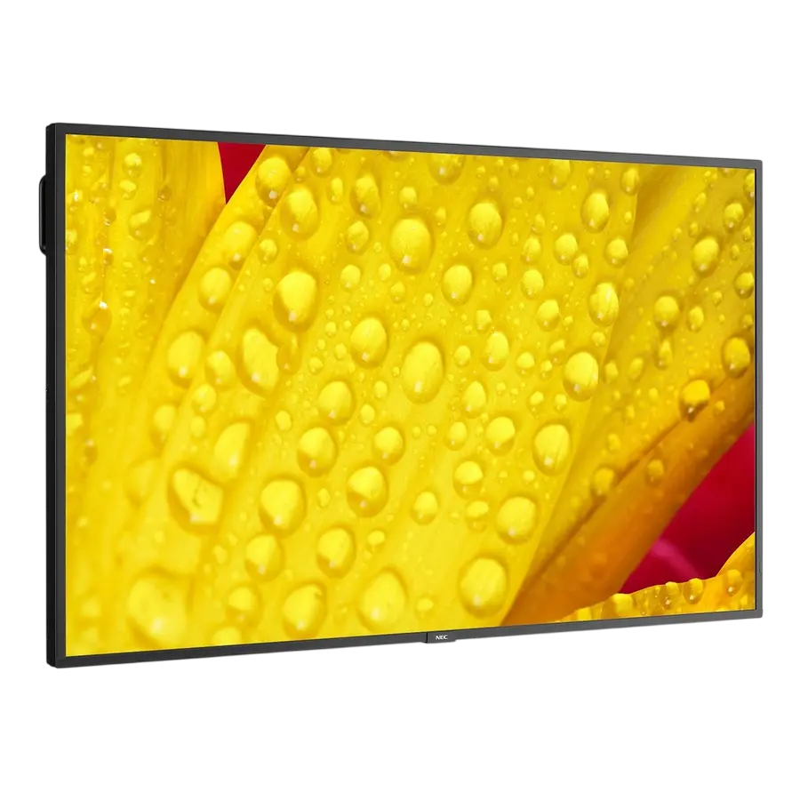 Display NEC MultiSync M651-2, 65