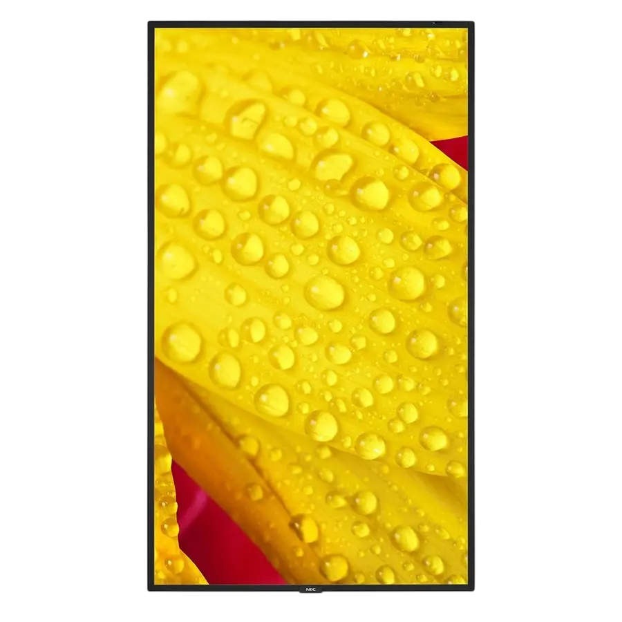 Display NEC MultiSync M651-2, 65