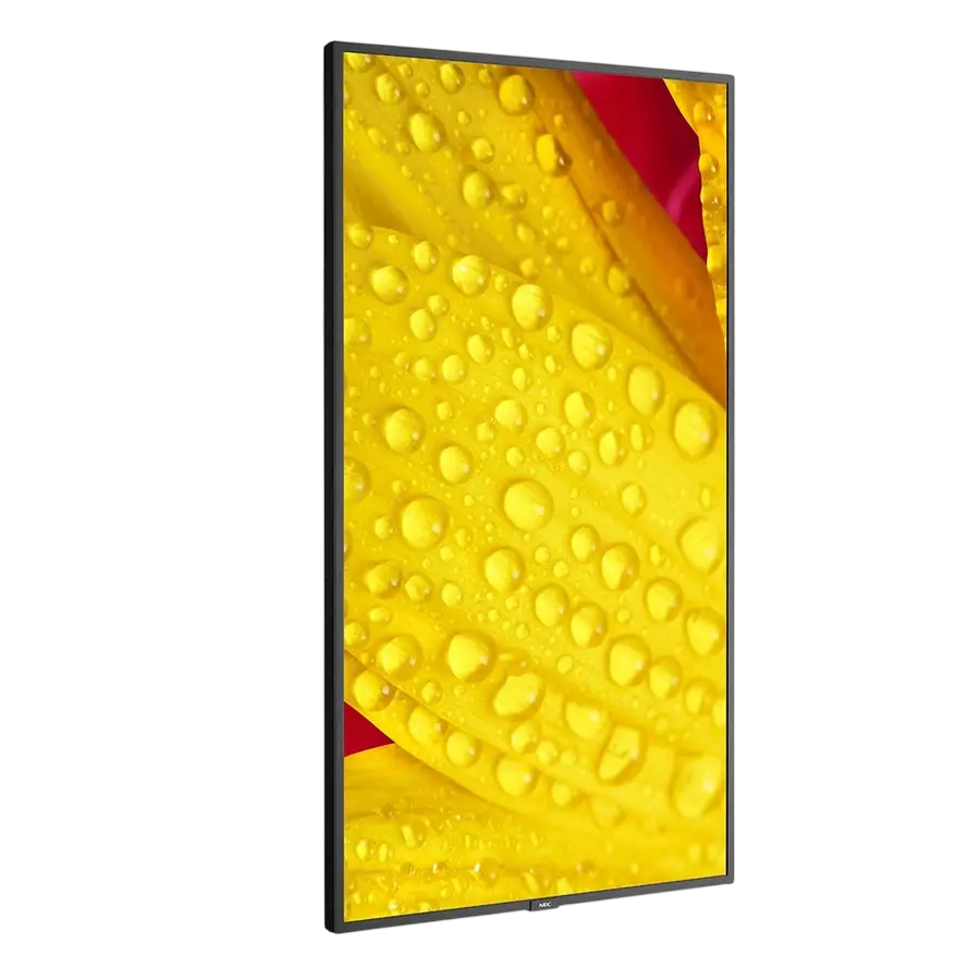 Display NEC MultiSync M651-2, 65