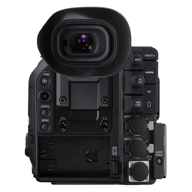 Cameră video Canon EOS C500 Mark II, Negru