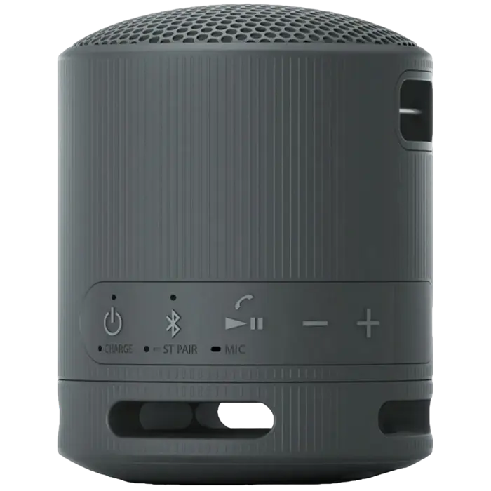 Boxă portabilă SONY XB100, Negru