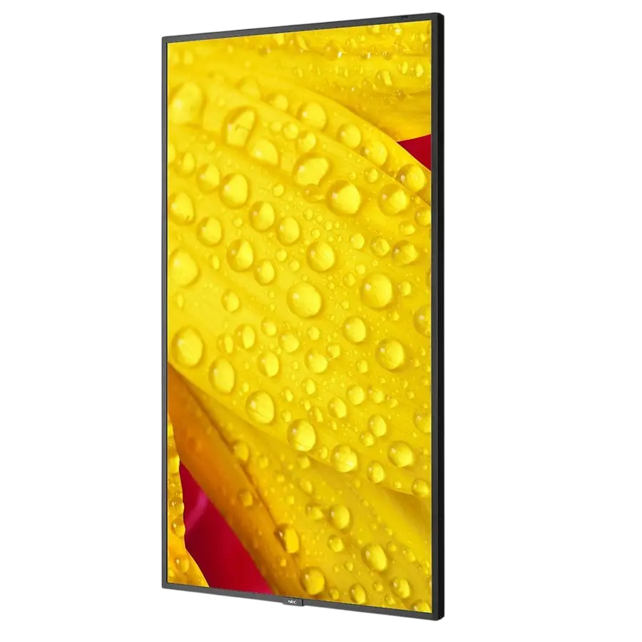 Display NEC MultiSync M651-2, 65