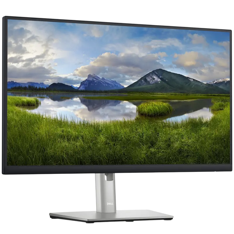Monitor DELL P2423DE
