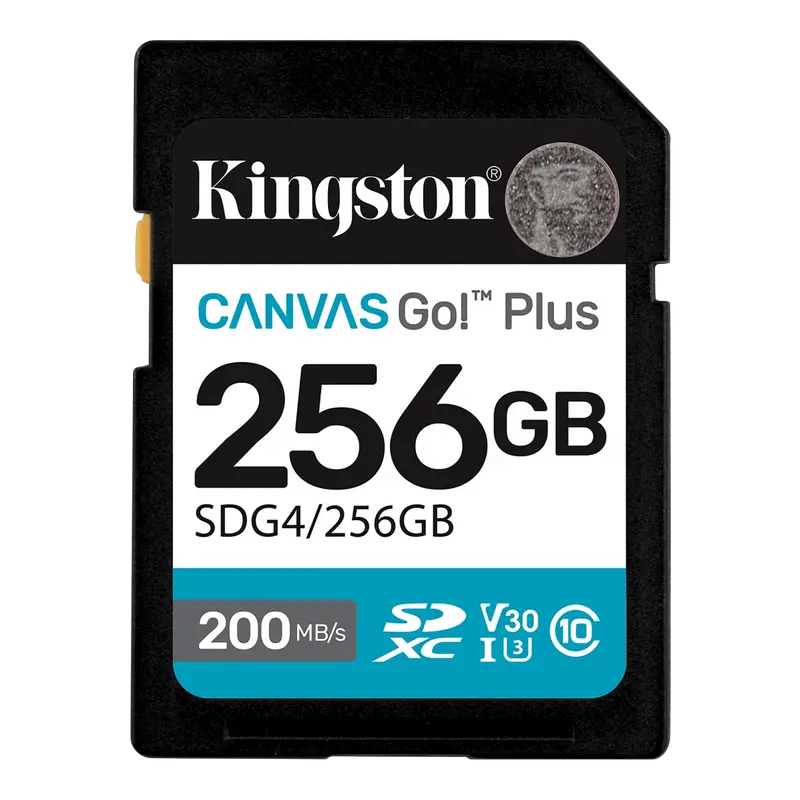 Cumpara  Suporturi de stocare - Card de Memorie Kingston Canvas Go! Plus, 256..