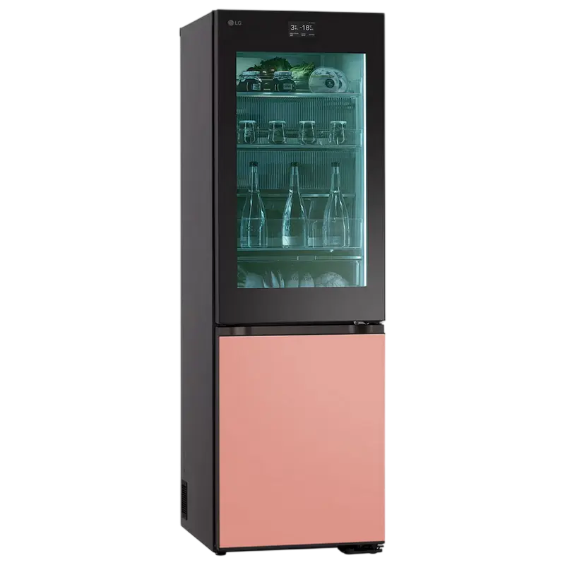 Frigider LG GBG719MDNN, Multicolor