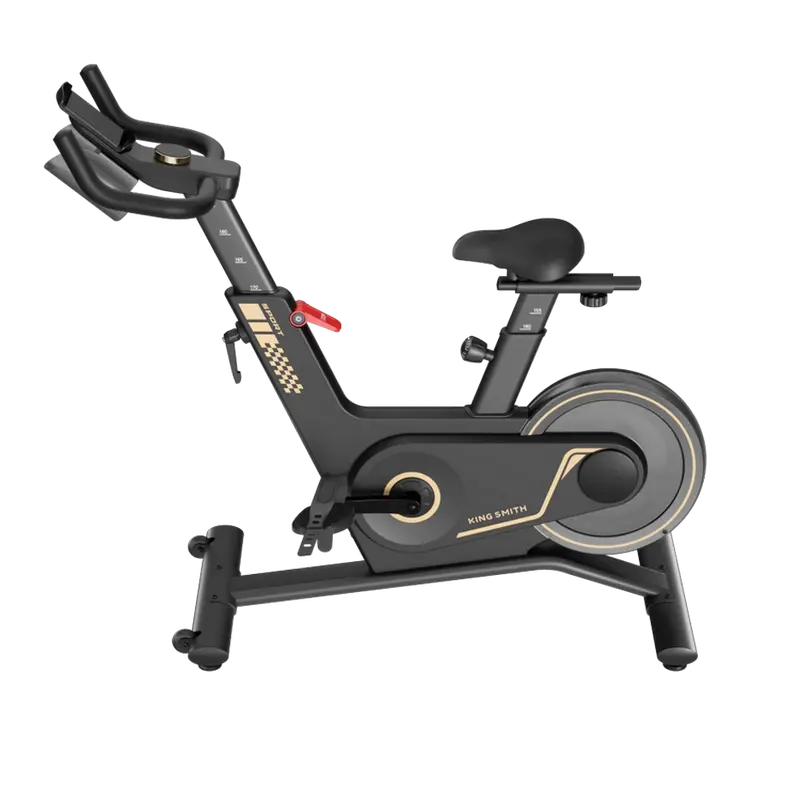 Cumpara  Fitness - Спиннинговый велосипед Kingsmith PB-08S, Черн..