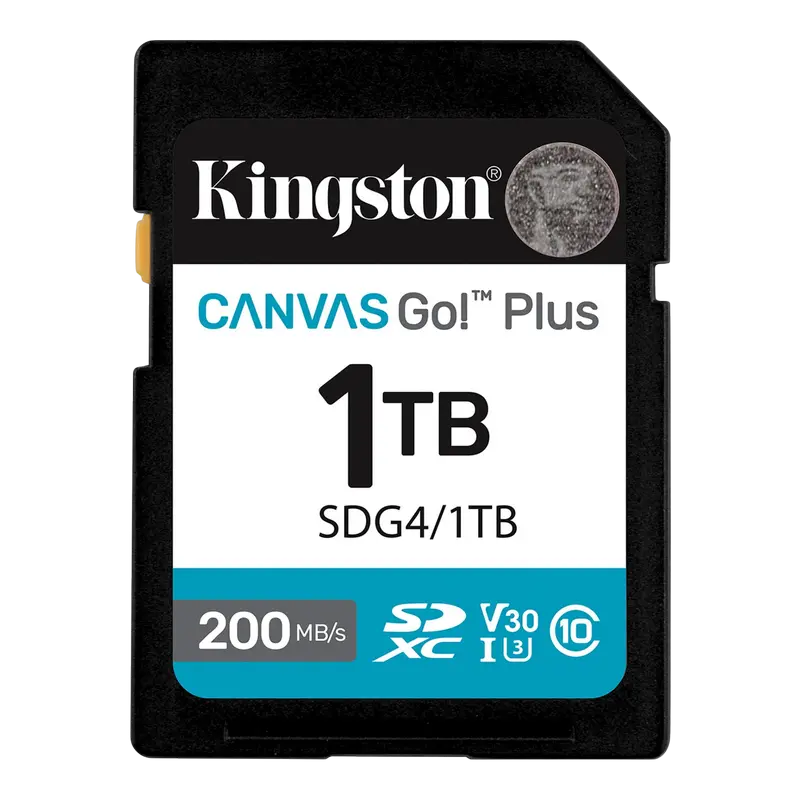 Карта памяти Kingston Canvas Go! Pl..