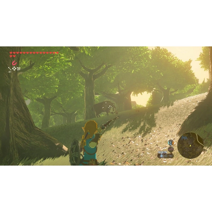 Картридж The Legend of Zelda: Breath of the Wild