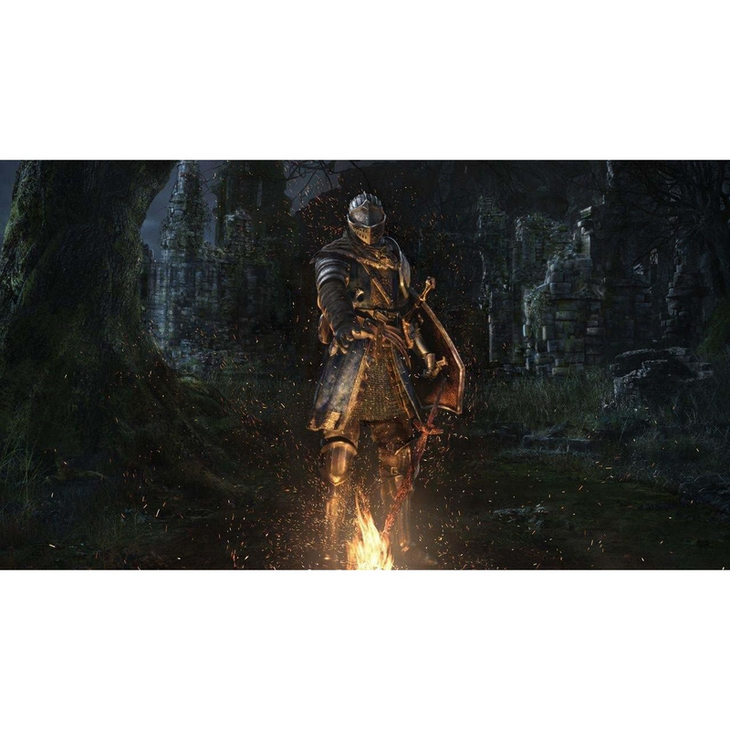 Disc Dark Souls Trilogy
PlayStation 4 | Acțiune și aventură