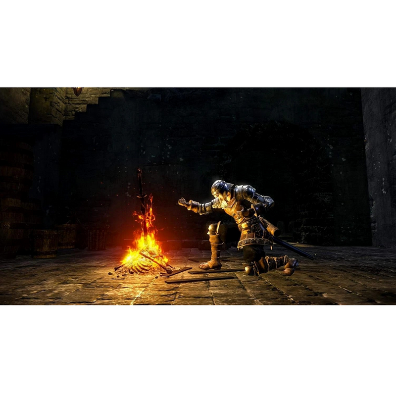 Disc Dark Souls Trilogy
PlayStation 4 | Acțiune și aventură