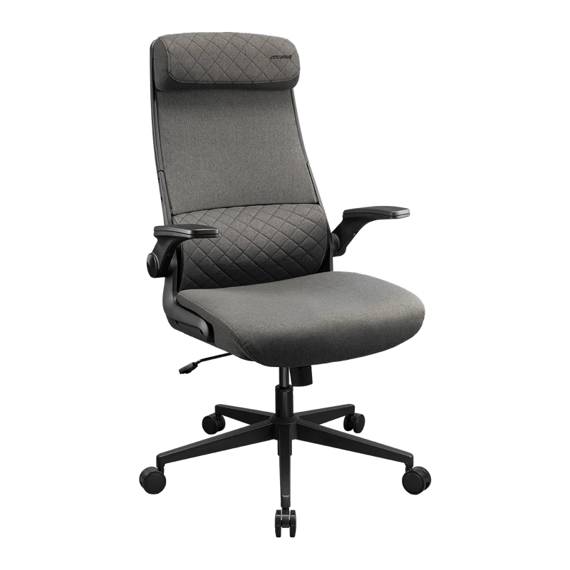 Scaun de birou Cougar Stryder Textil Gri
Clasa 4 | 115 - 125 cm