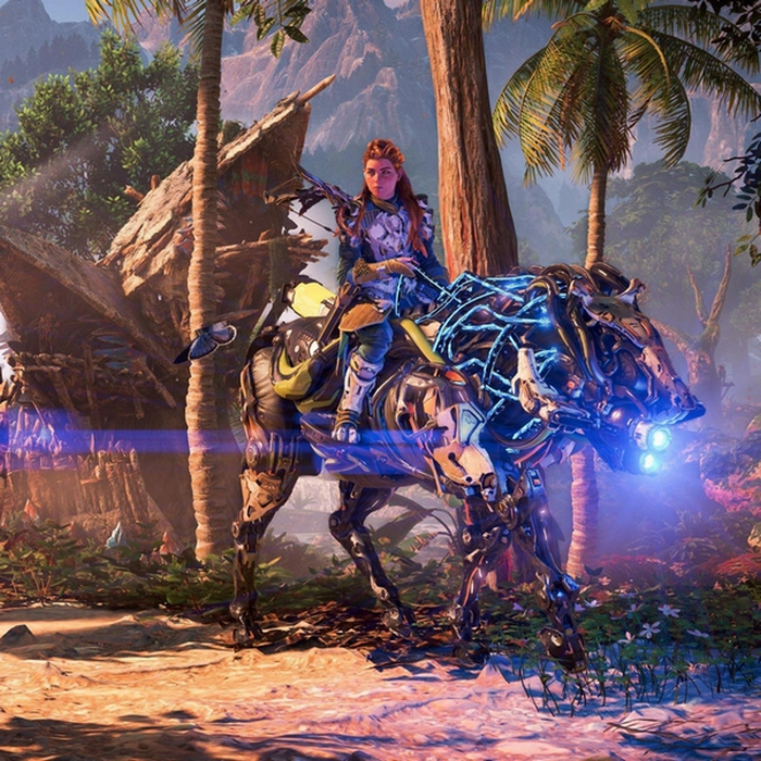 Disc Horizon Forbidden West
PlayStation 4 | Acțiune și aventură