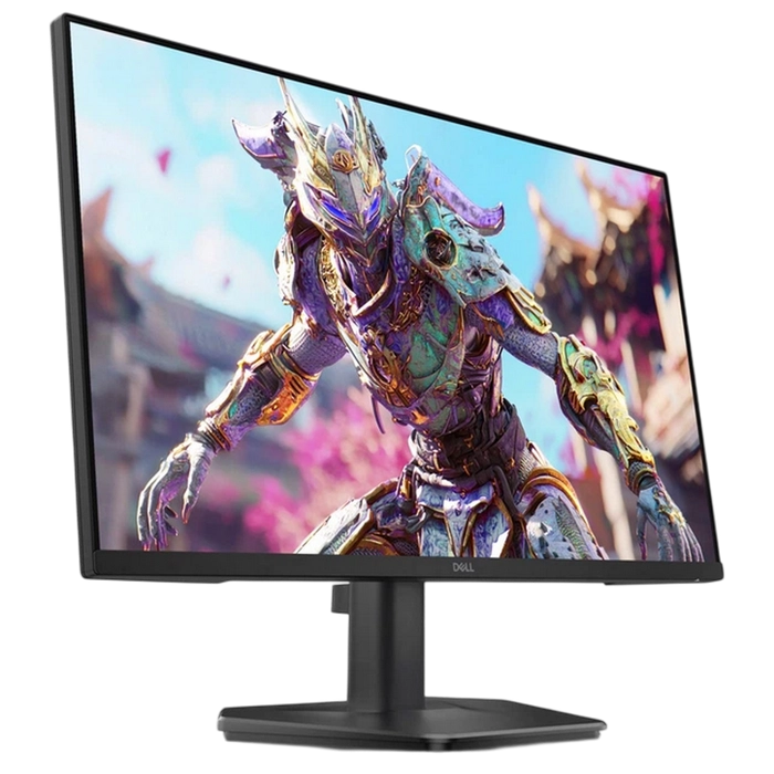 Игровой монитор DELL SE2426HG Чёрный