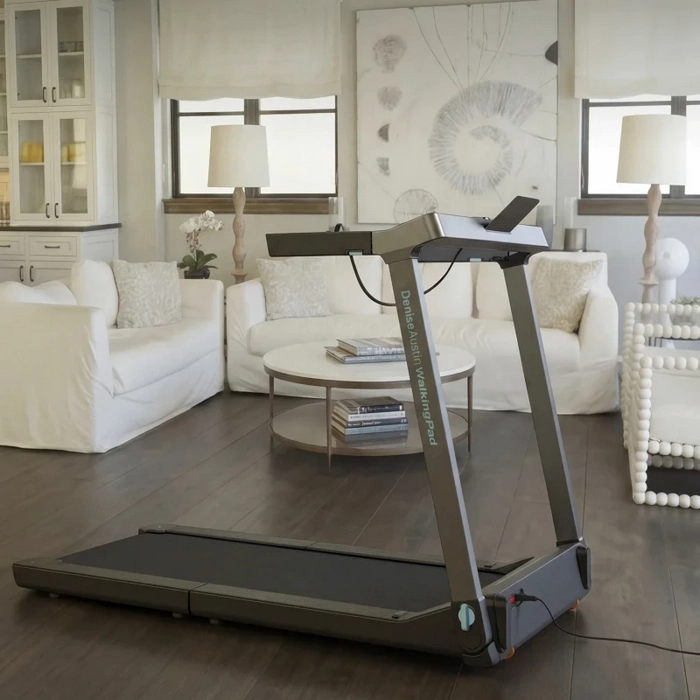 Беговая дорожка Kingsmith Walkingpad G1 Черный
