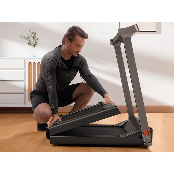 Беговая дорожка Kingsmith Walkingpad G1 Черный
