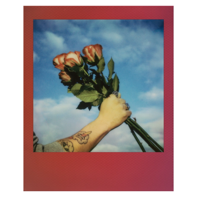 Фотобумага Polaroid Color Film for Go Double Pack