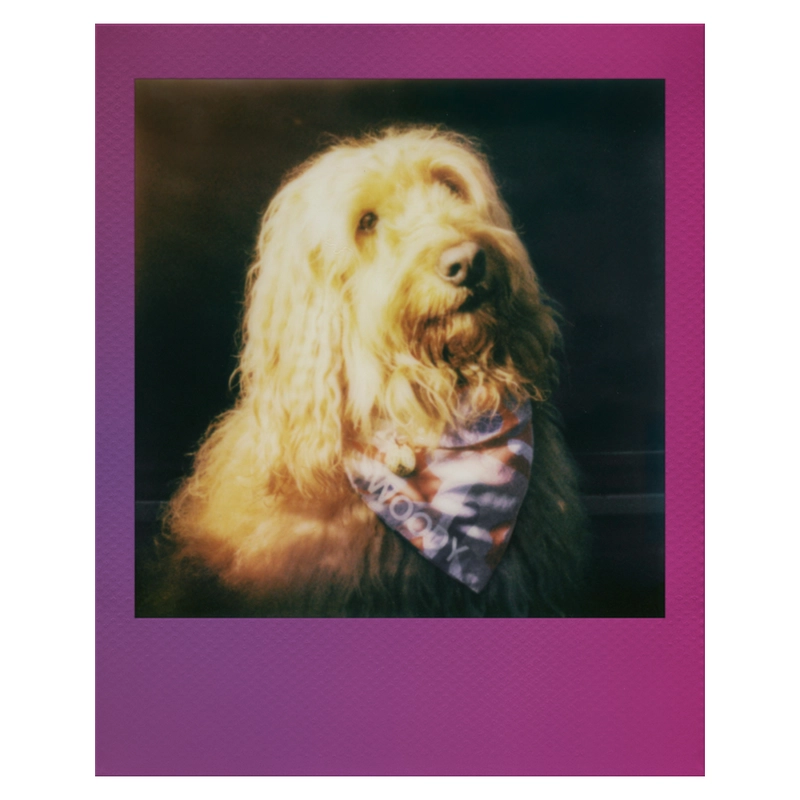 Фотобумага Polaroid Color Film for Go Double Pack