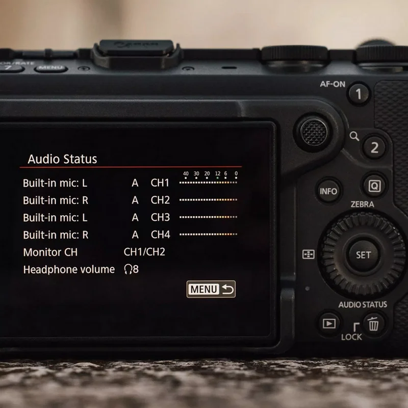 Беззеркальный фотоаппарат Canon EOS R6 V & RF