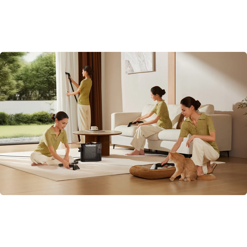 Пятновыводитель Dreame N20