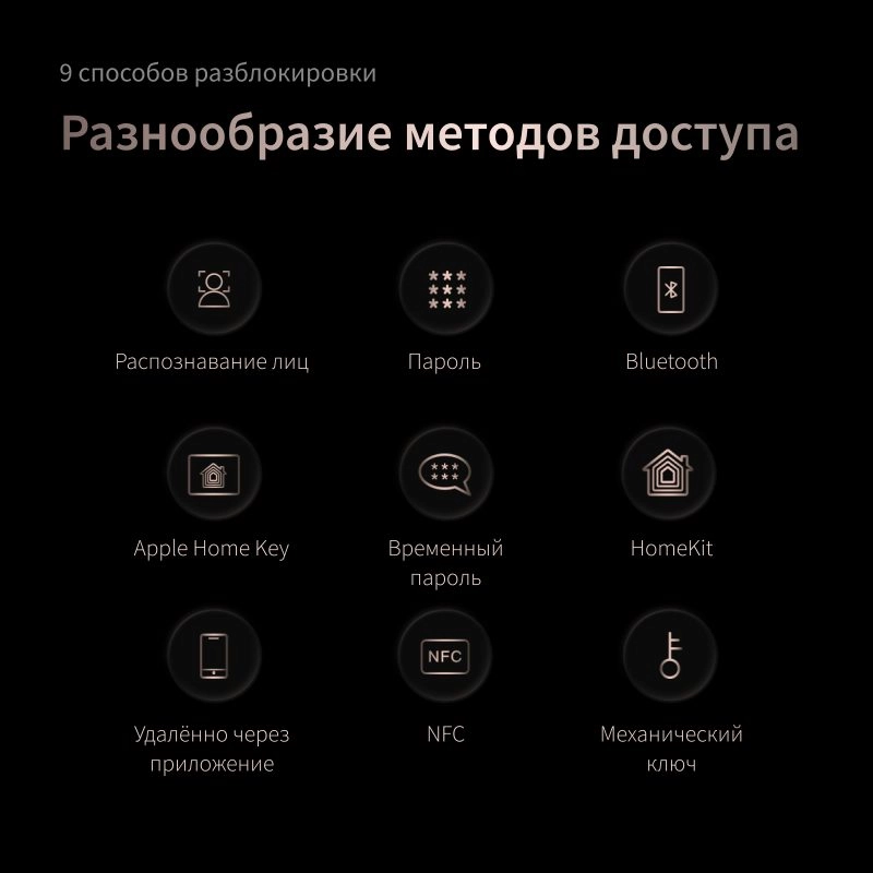 Умный дверной замок AQARA Smart Lock D200i Черный