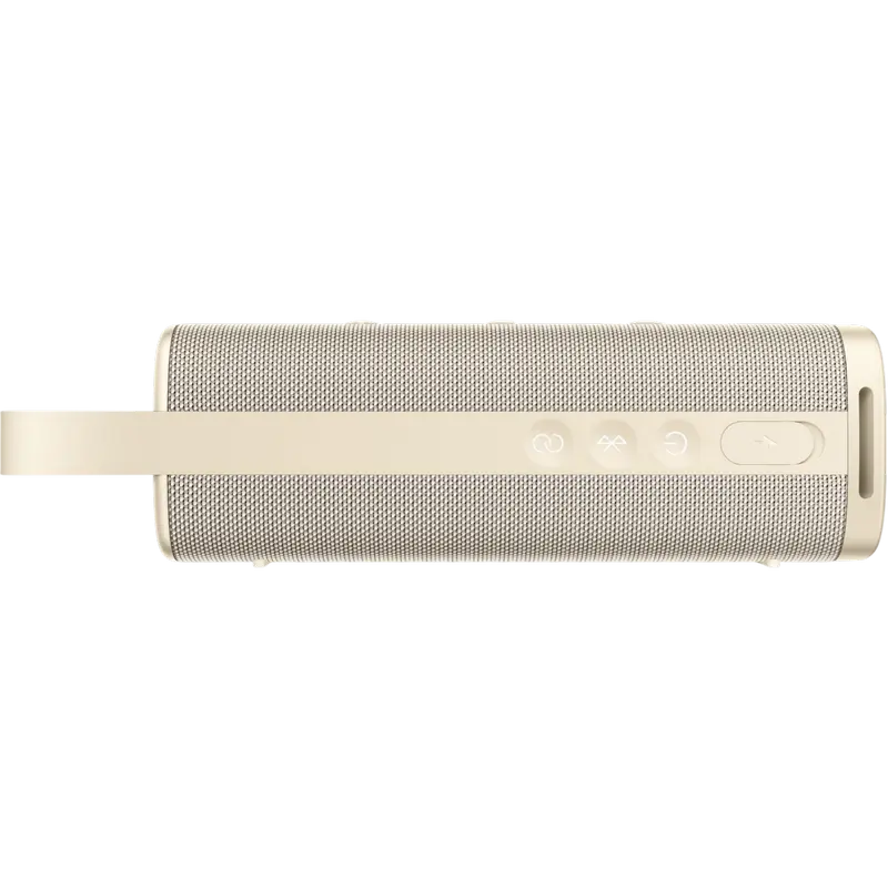 Портативная колонка Xiaomi Sound Outdoor Gold