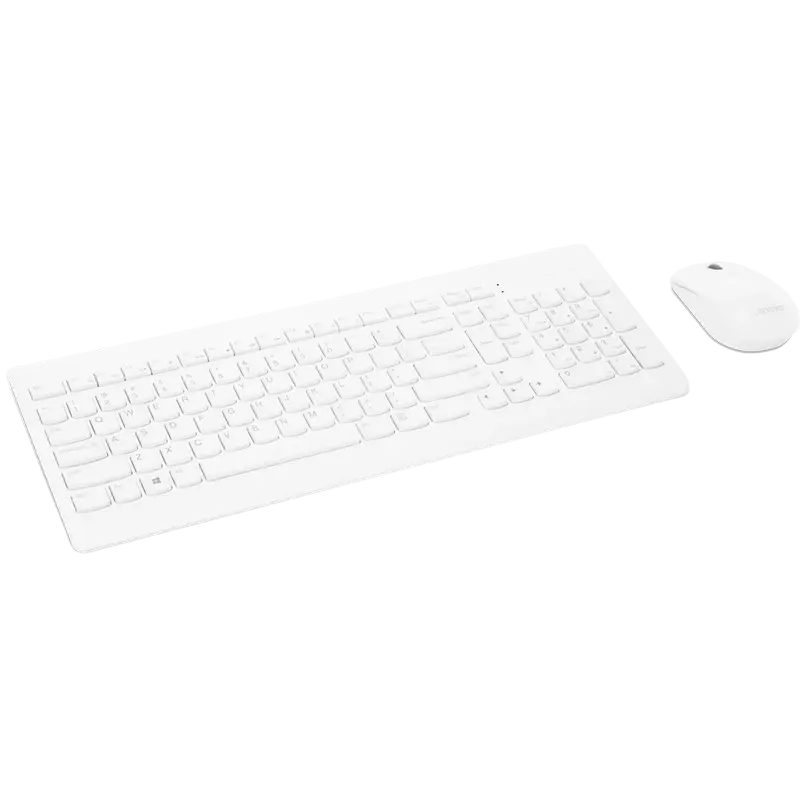 Set Tastatură + Mouse Lenovo 510 USB Membrană Alb