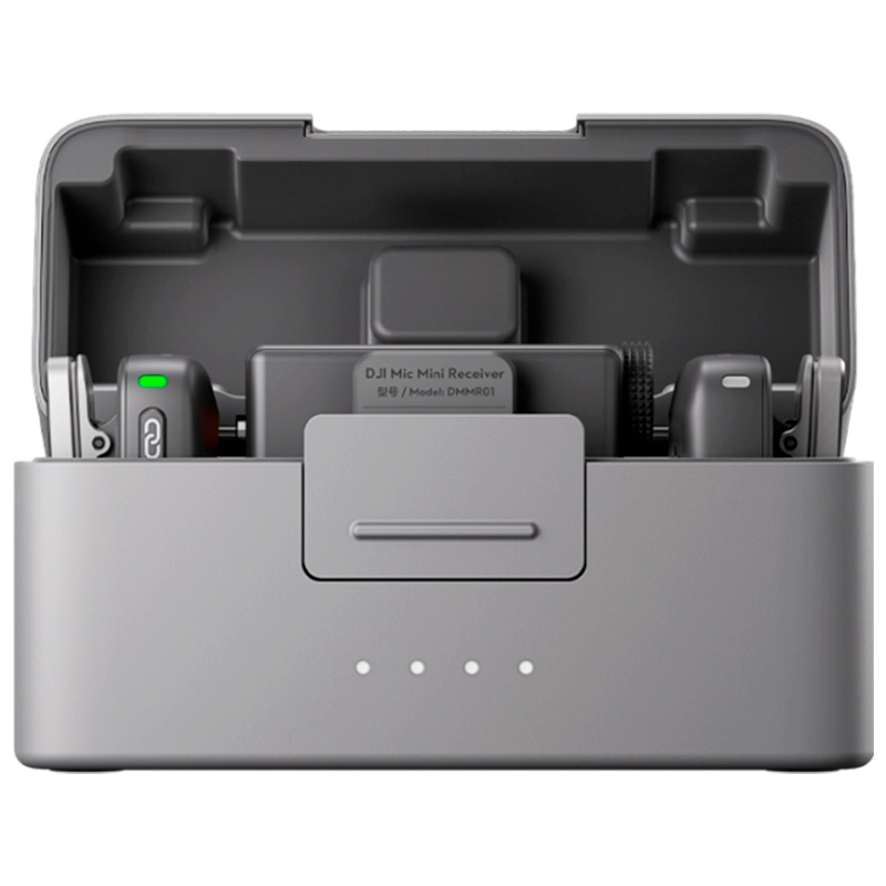 Портативный записывающий микрофон D..