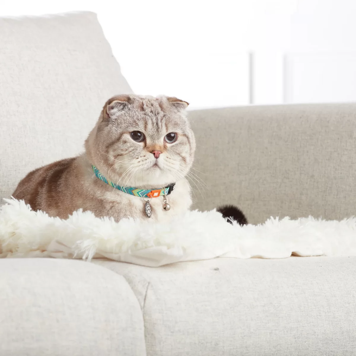 MAX & MOLLY ошейник для кошек Smart ID Cat Vintage