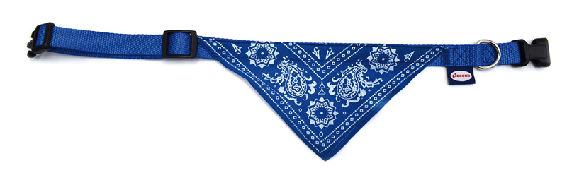 Zgardă cu eșarfă BANDANA 1,6×30-45cm Blue