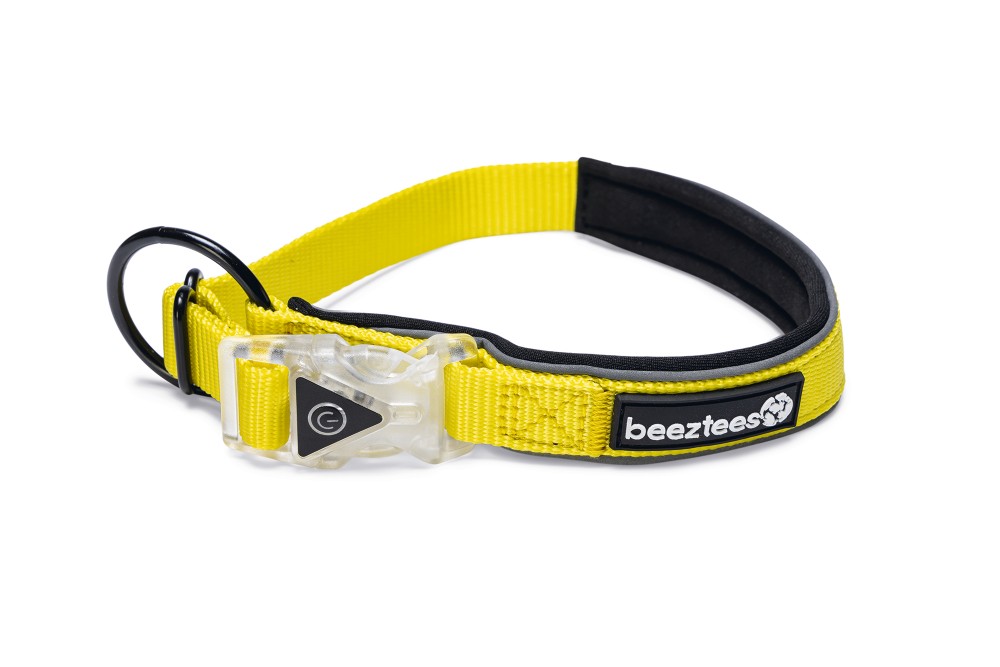 Beeztees zgardă reflectorizantă cu lumini Premium PARINCA Yellow 40×20