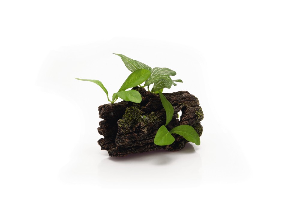 BEEZTEES decoration stump + plants