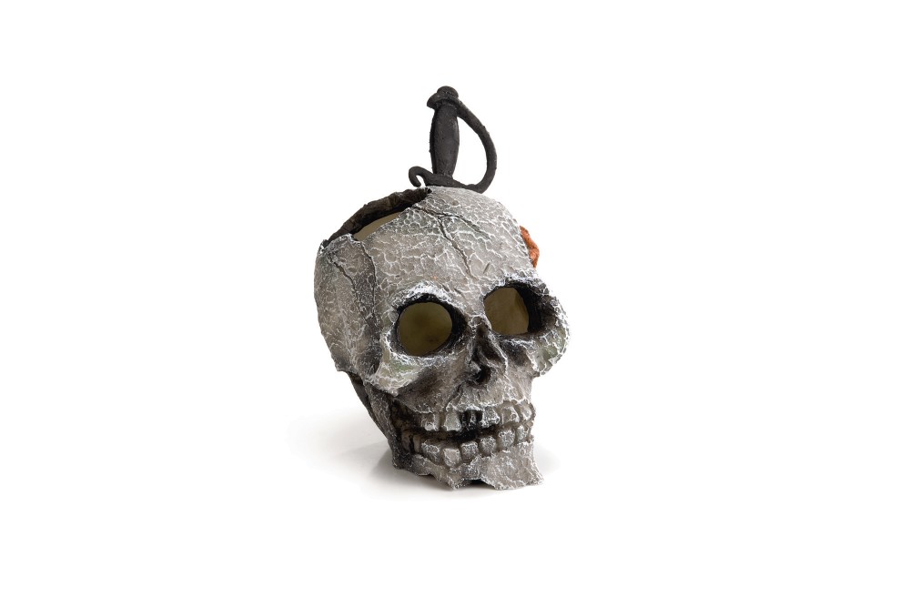 BEEZTEES decoration skull with sword
