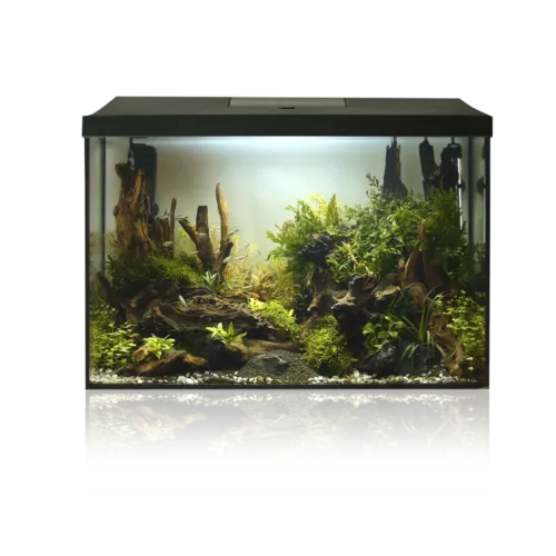 AQUAEL Aquarium set LEDDY 60 XL D&N..