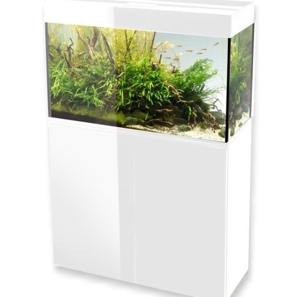 AQUAEL Acvariu GLOSSY ST 100