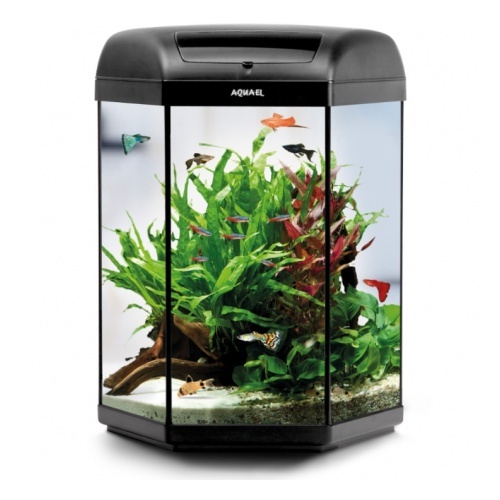 Acvariu AQUAEL HEXA SET II 60 6W