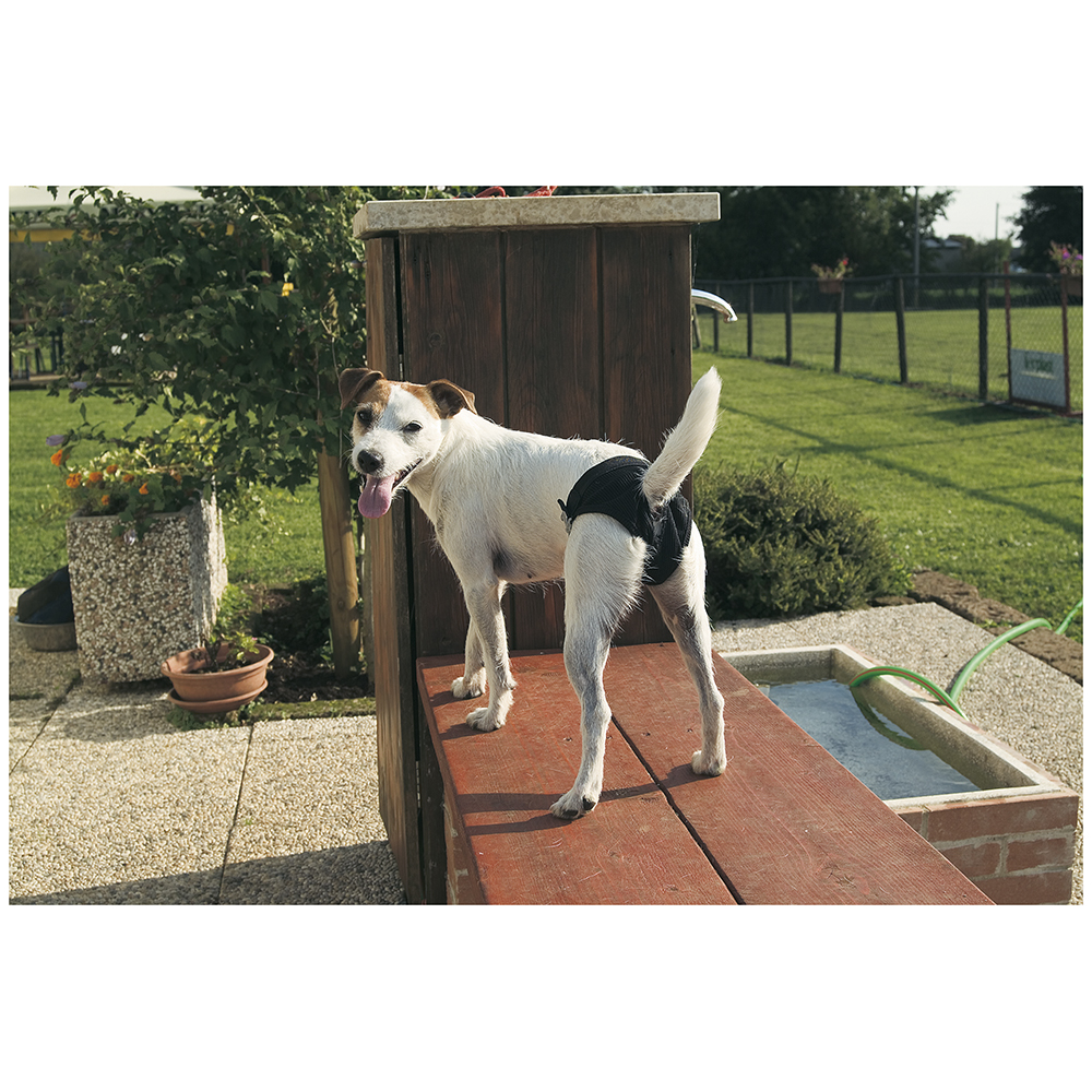 Chiloți igienici negri SLIP DOG XS 25-28