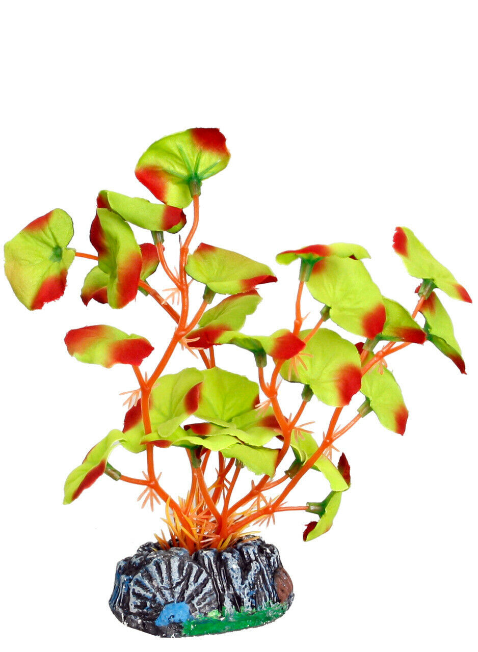 Plantă plastică BRASIL Plant6 S