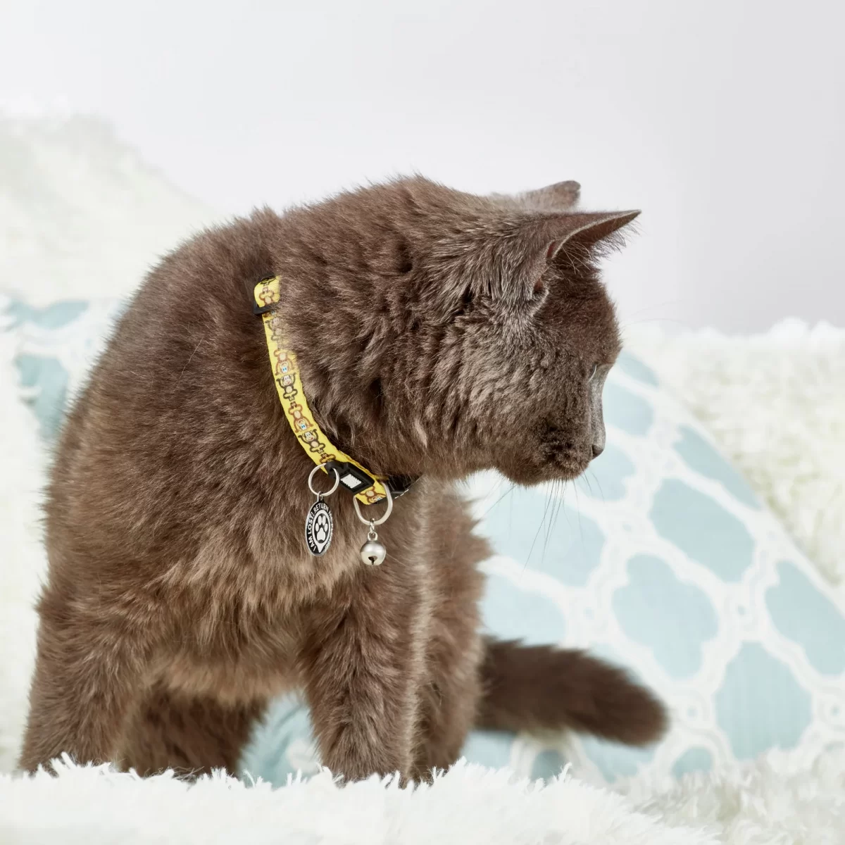 MAX & MOLLY zgardă pentru pisici Smart ID Cat Monkey Maniac