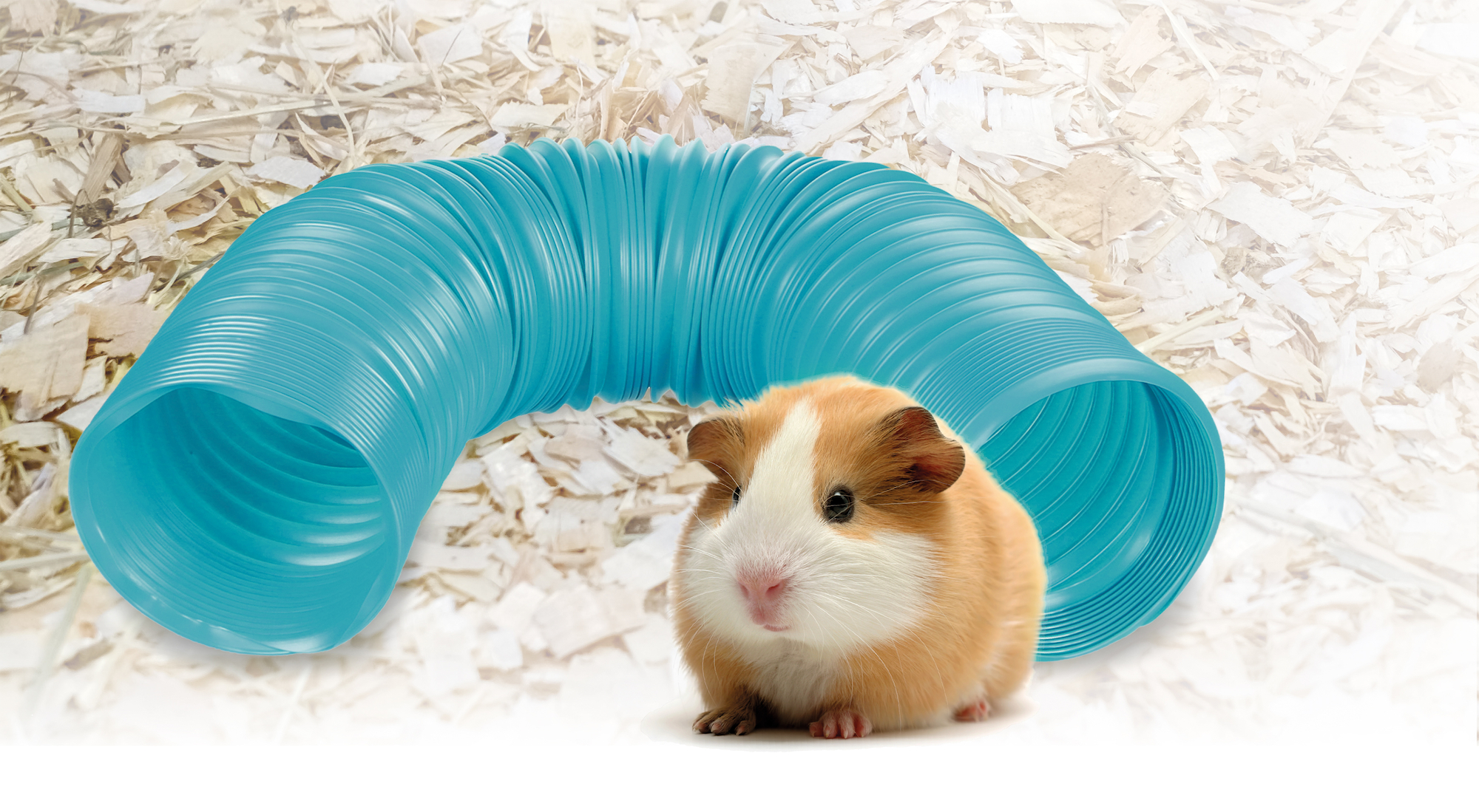 Тунель для грызунов Flex Turquoise