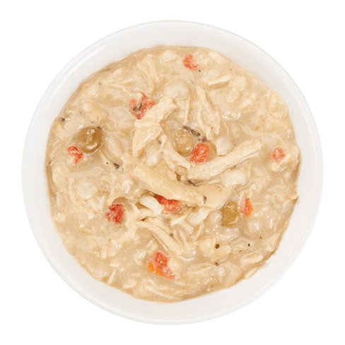 SCHESIR Taste the World Dog Chicken Thai Coconut in broth