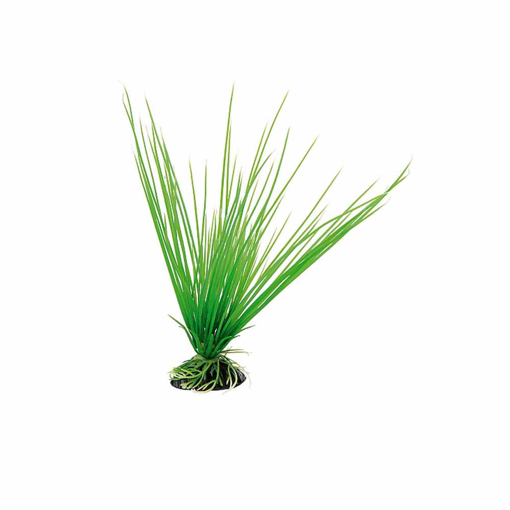 Cumpara  Decorațiuni - FERPLAST пластик. растение ACORUS 8