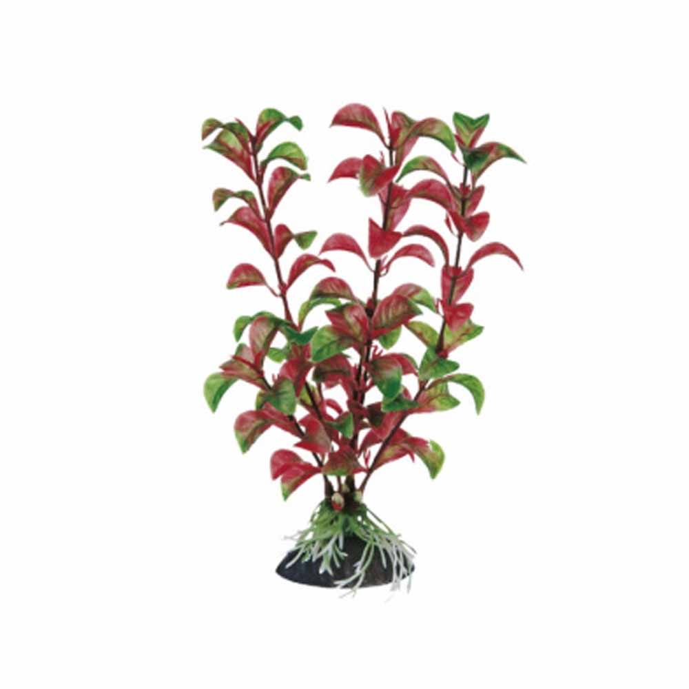 Cumpara  Decorațiuni - FERPLAST пластик. растение ROTALA 8