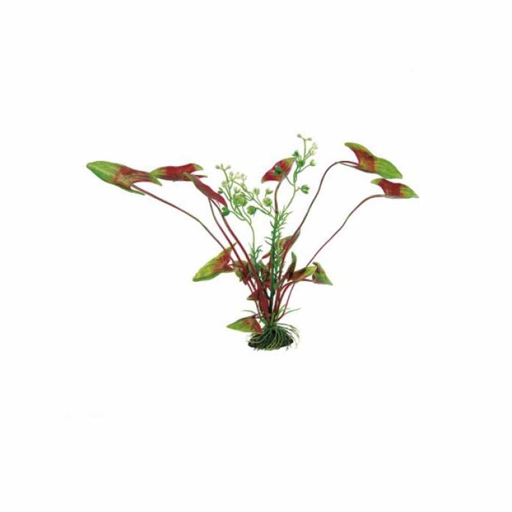 Cumpara  Decorațiuni - FERPLAST пластик. растение NINPHAEA 12
