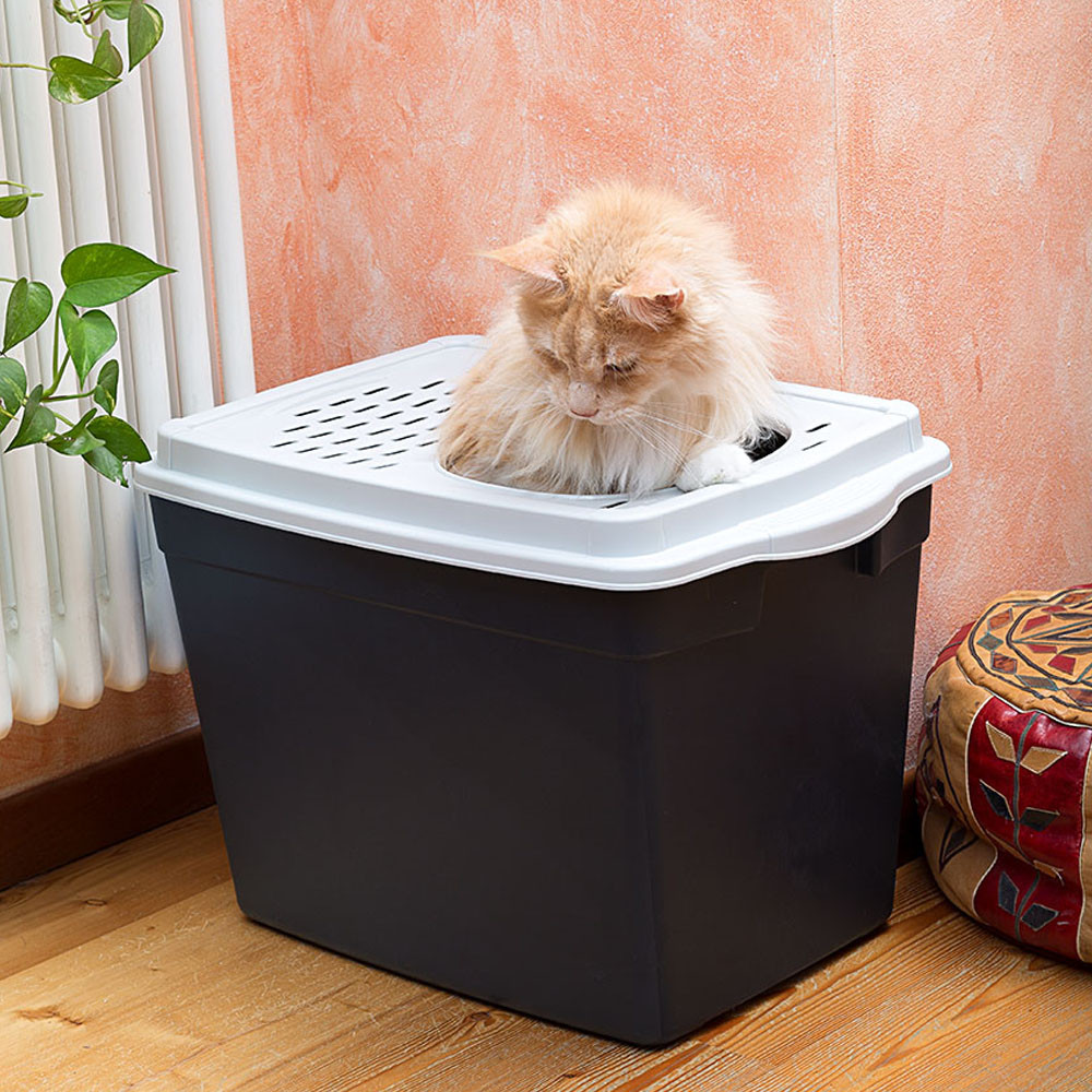 Домашний туалет для кошек JUMPY