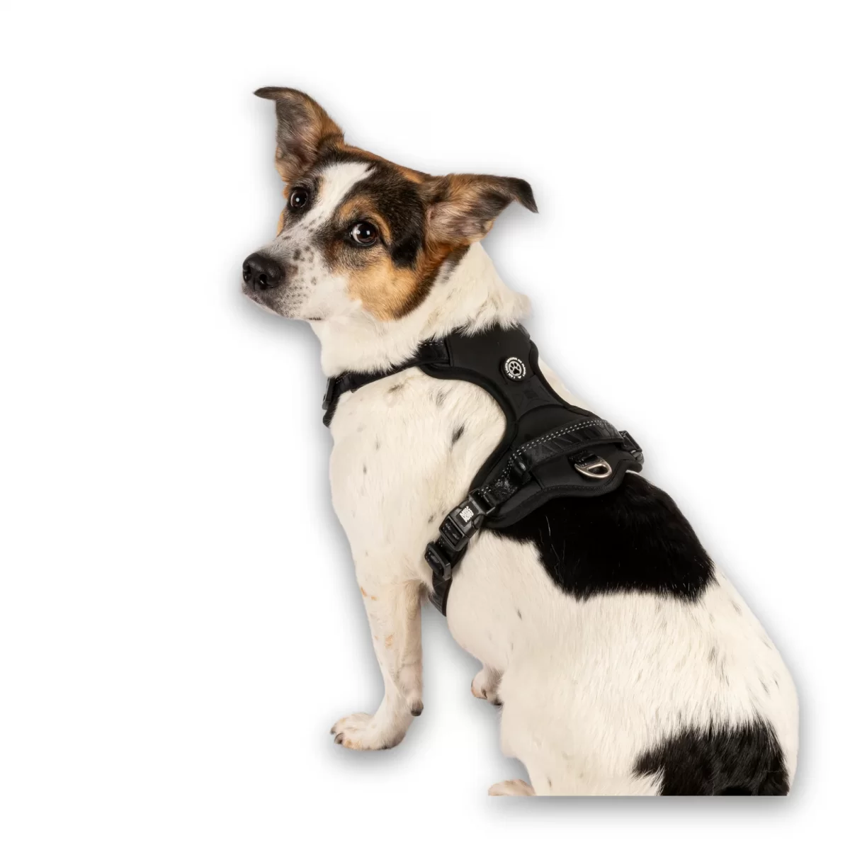 MAX & MOLLY Ham Sport Harness – Matrix 2.0 Black S