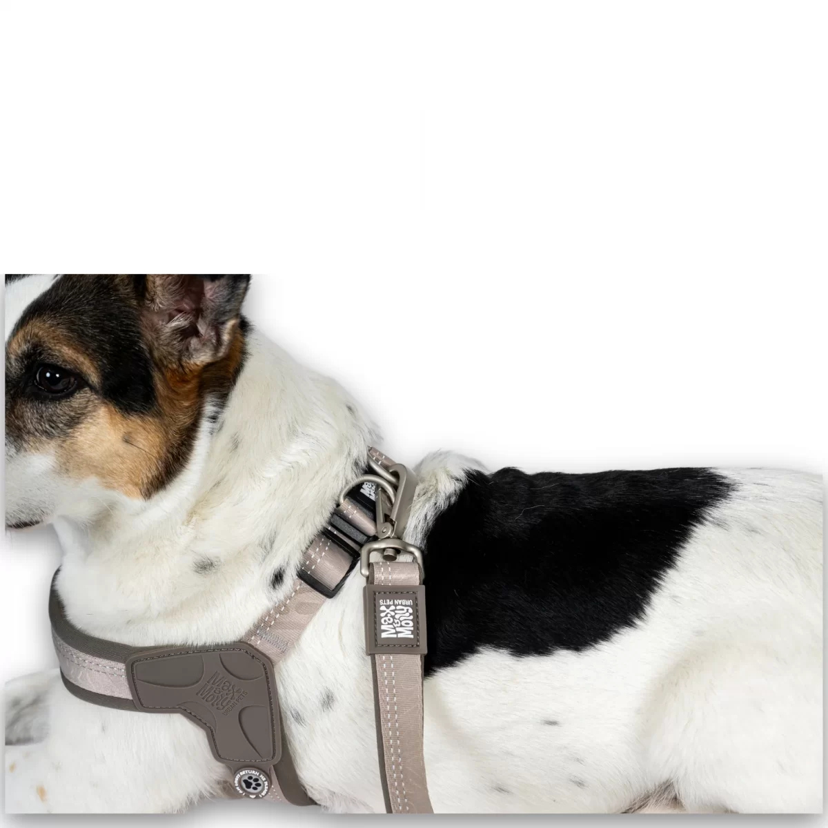 MAX & MOLLY Ham Q-Fit — Matrix 2.0 Sand XS